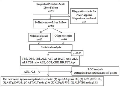 Screening for Wilson’s disease in acute liver failure: A new scoring system in children